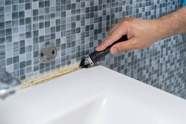 Best Mold Remediation  in West Linn, OR