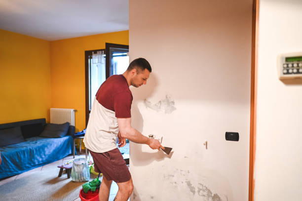 Best Mold Cleaning Services  in West Linn, OR